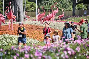 BIB: 
                            <button type="button" onclick="openModal(27794131)" class="btn btn-primary btn-sm float-right btn-popup" data-toggle="modal" data-target=".modal-high-quality">
                        <i class="fas fa-shopping-cart"></i> Add to Cart
                    </button>
                                            <button type="button" onclick="isThisMe(27794131, true)" class="btn btn-success btn-sm float-right btn-popup btn-isme hidden" data-toggle="tooltip" data-placement="bottom" title="นี่คือรูปของคุณใช่ไหม คลิกที่นี่เพื่อเอาเข้าอัลบั้ม">
                        <i class="fas fa-plus"></i> Add to album
                    </button>
                    <button type="button" onclick="isThisMe(27794131, false)" class="btn btn-warning btn-sm float-right btn-popup btn-isnotme hidden">
                        <i class="fas fa-ban"></i> Remove from album
                    </button>